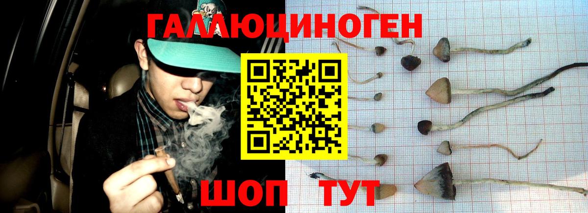 Псилоцибиновые грибы мухоморы Тавда